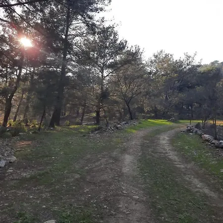 营地 Retreat Kayakoy
